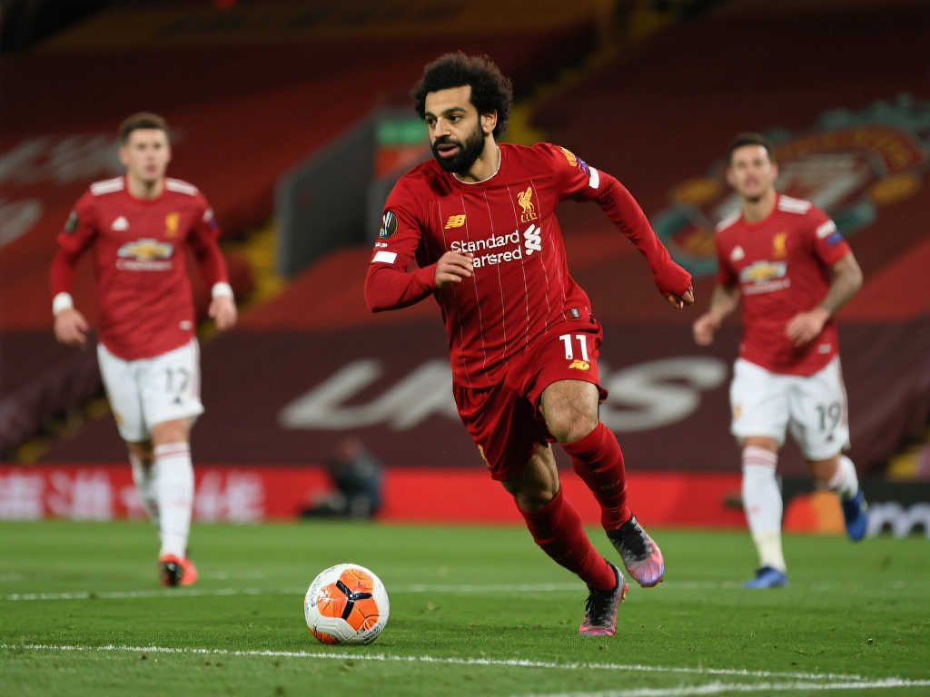 代表了不同 代表了不同