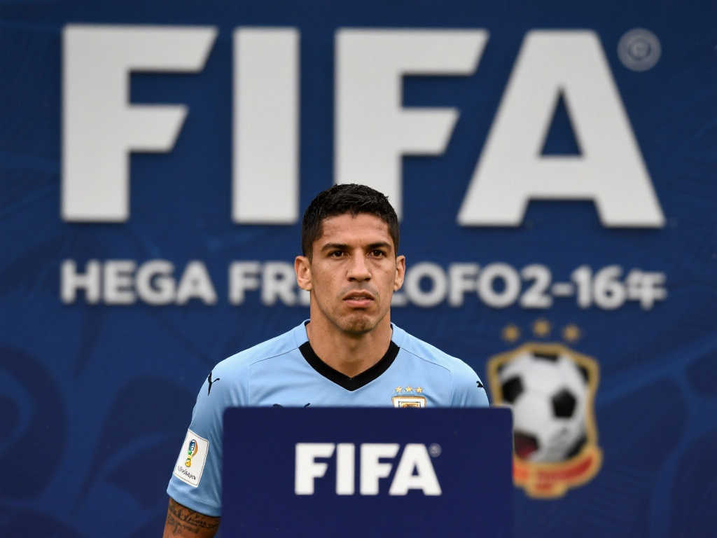 经验教训的 经验教训的